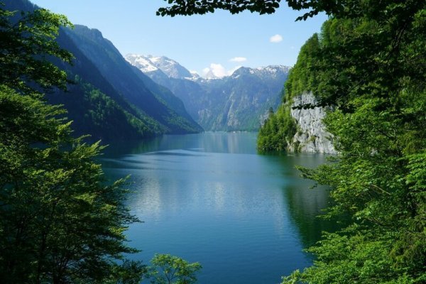 Kraken ссылка зеркало официальный сайт