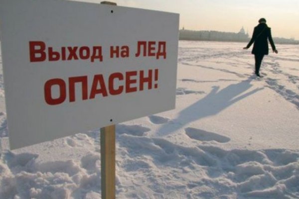 Как вернуть аккаунт на кракене