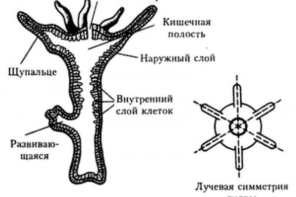 Кракен сайт регистрация