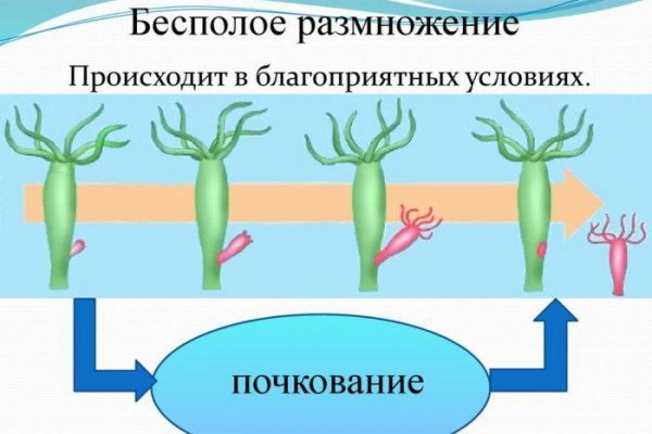 Даркнет кракен