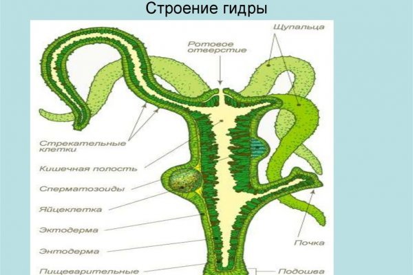 Кракен зеркало krk market com