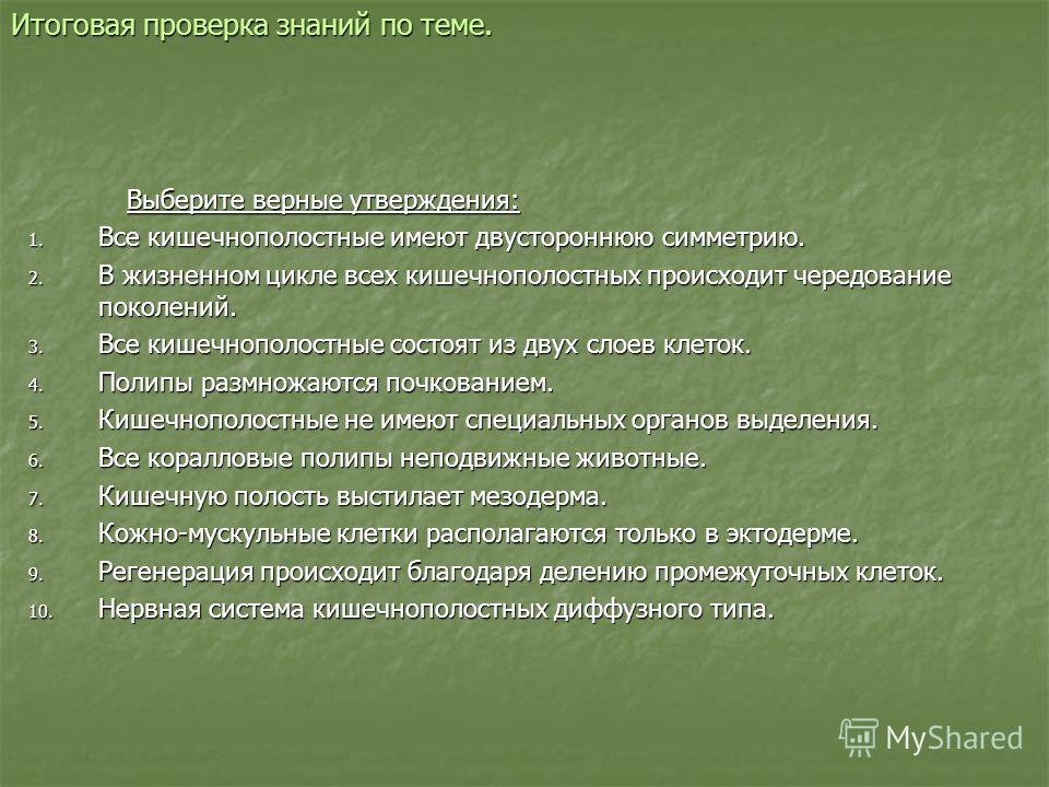 Kraken в россии